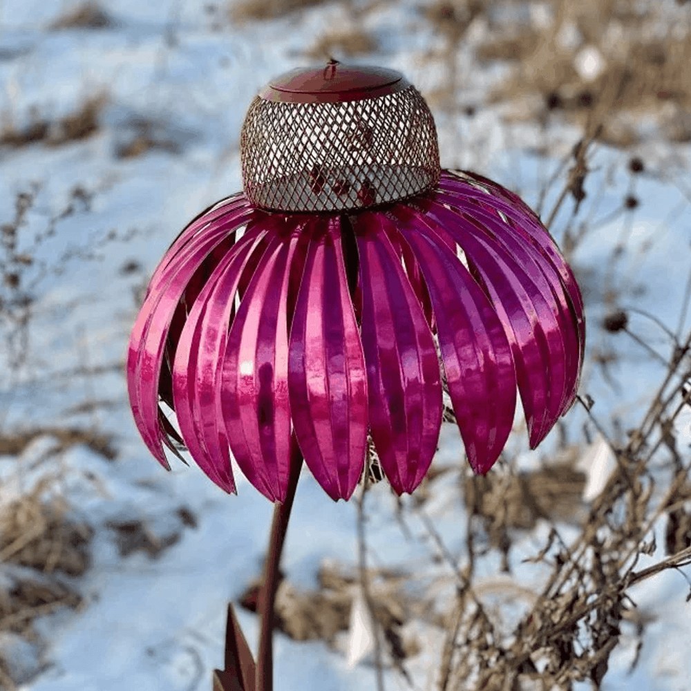 coneflowerbirdfeeder2.png