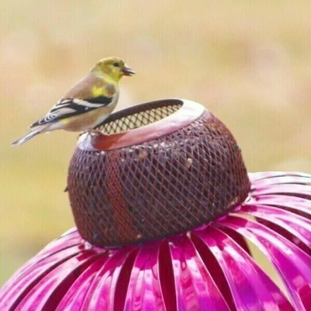 coneflowerbirdfeeder4.png