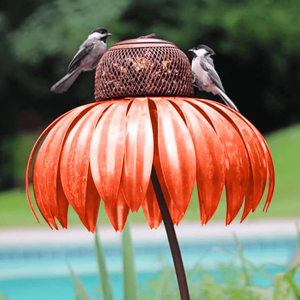 coneflowerbirdfeederorange.png