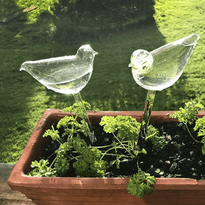 birdshapedplantselfwateringglassglobes4.png