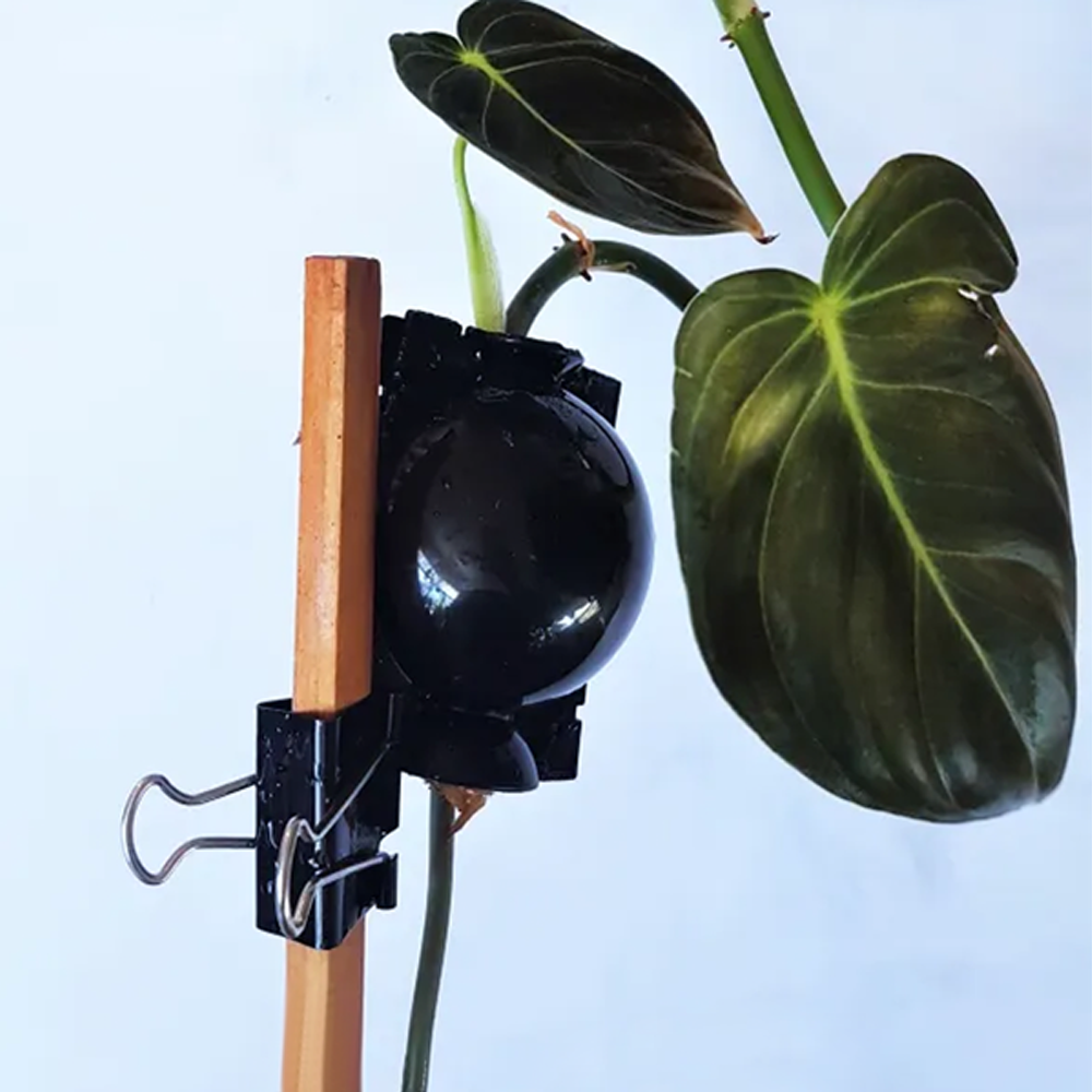 plantpropagationrootgrowingbox4.png