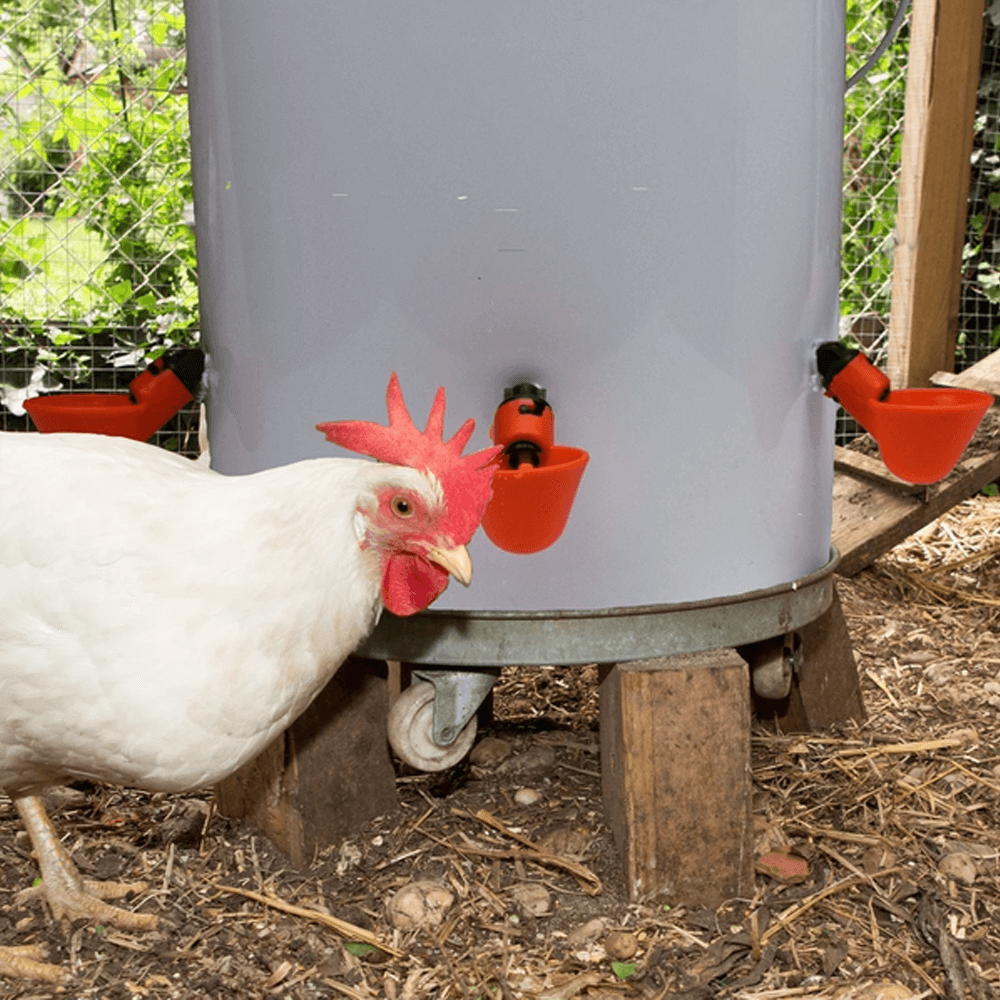 Stainless steel automatic chicken water dispenser