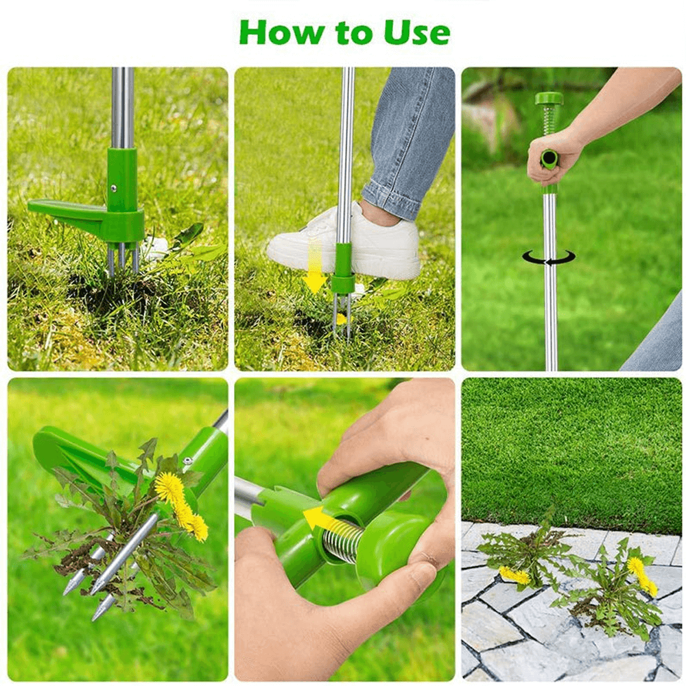 standingplantrootremovertoolwithadjustablehandle7.png