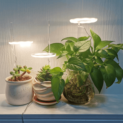 growthmaximizingledgrowlightforindoorplants1png