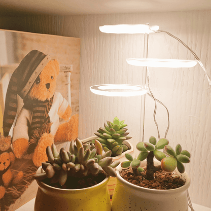 growthmaximizingledgrowlightforindoorplants2png