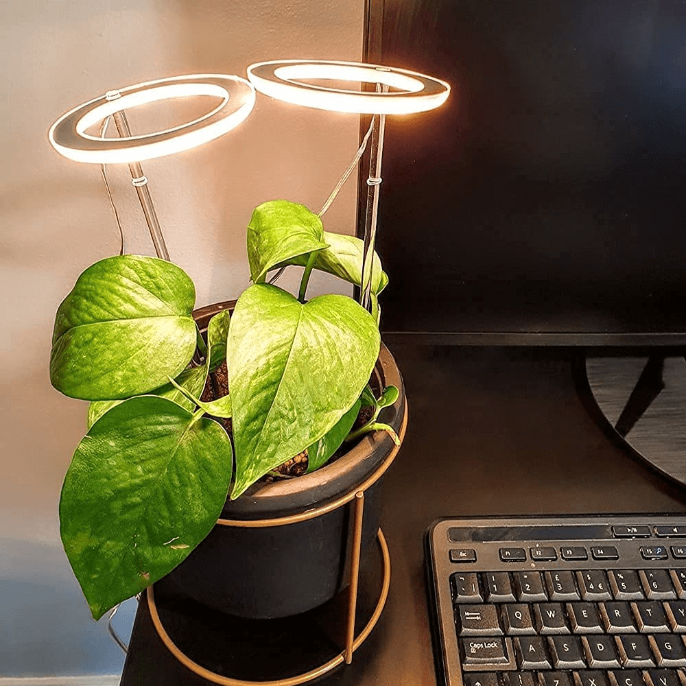 growthmaximizingledgrowlightforindoorplants2headpng
