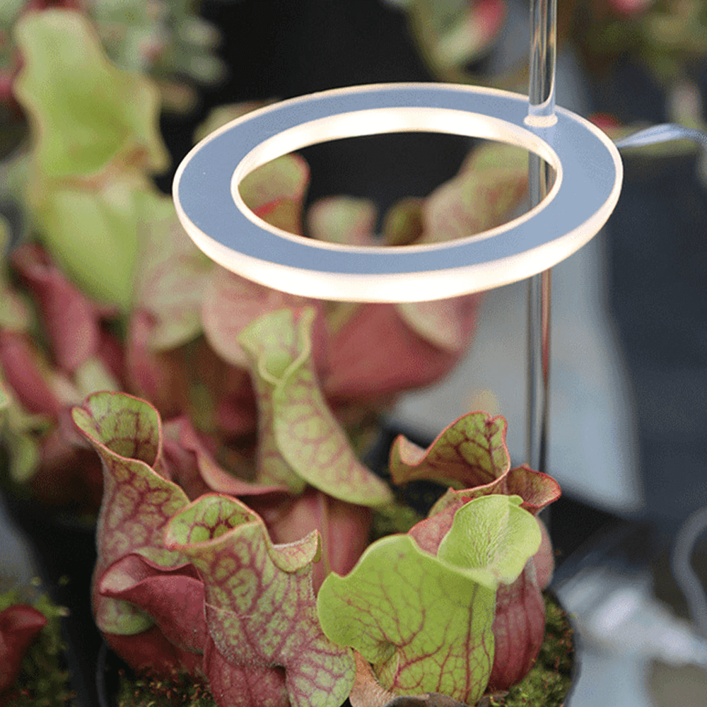 growthmaximizingledgrowlightforindoorplants3png