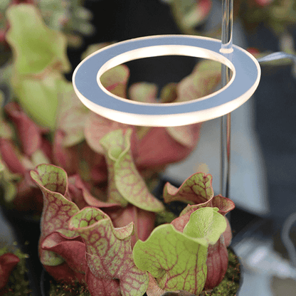growthmaximizingledgrowlightforindoorplants3png