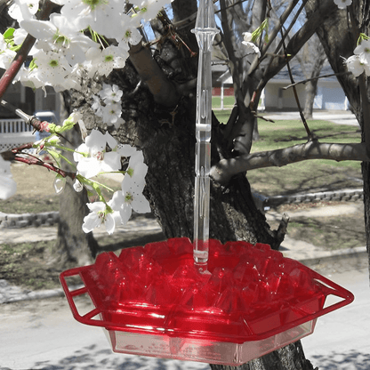 transparentwashablemaryshummingbirdfeeder4.png