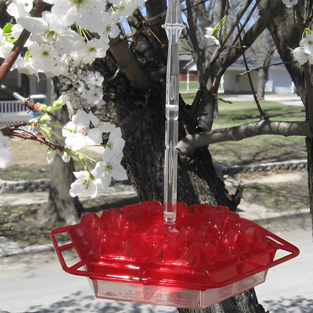 mary'shummingbirdfeederattractiveeasytoclean2.png