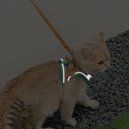 harnessandleashescapeproofluminouscatvest3.png