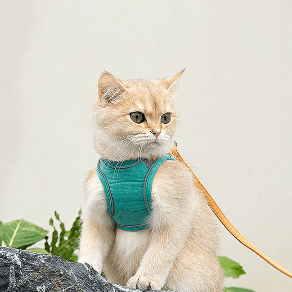 luminousadjustablecatvestharnessleashgreen.png