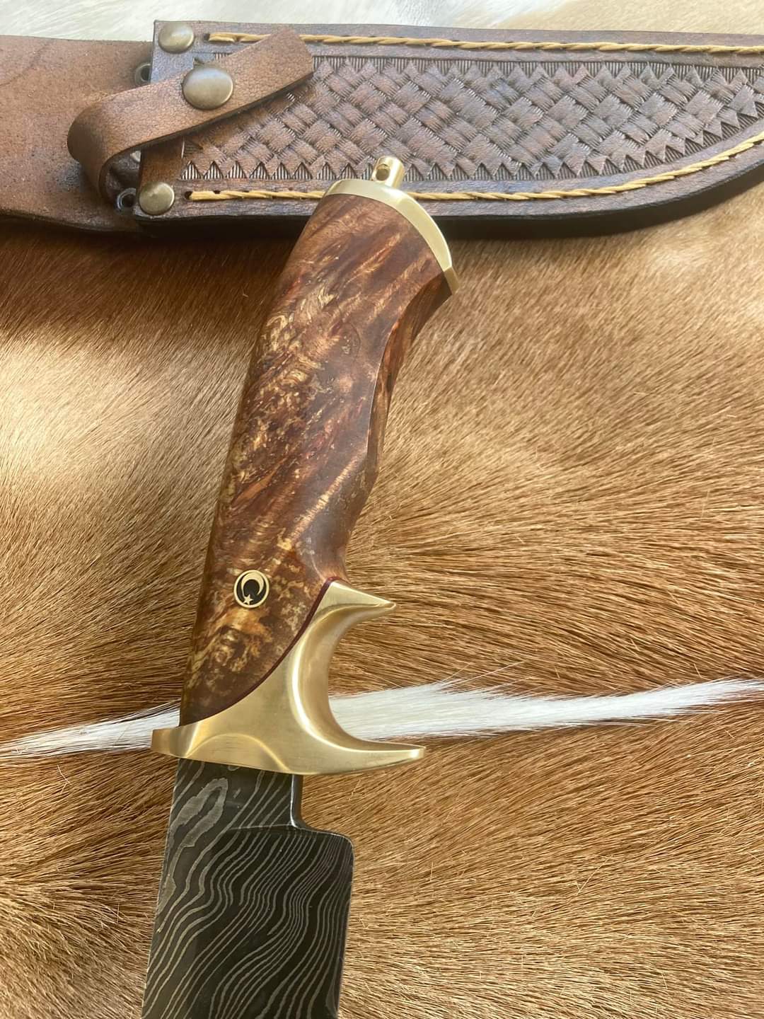 fixedbladeCampingknife