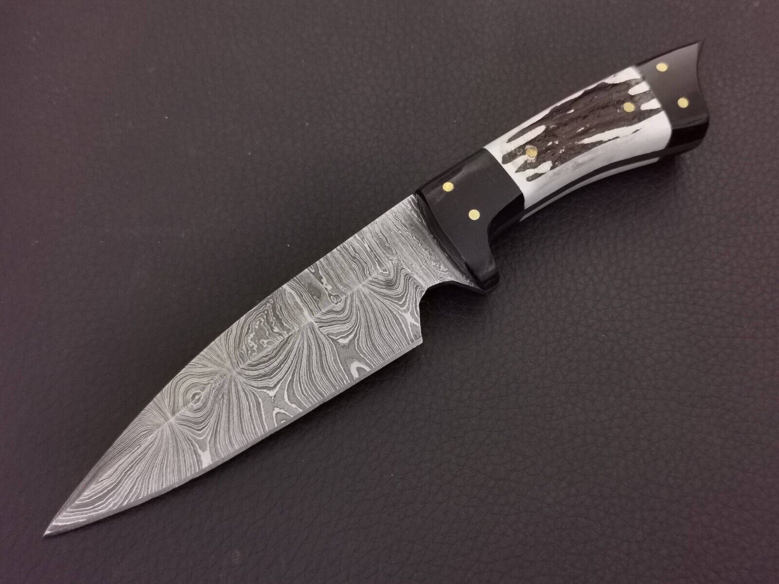 sl1600 3jpg