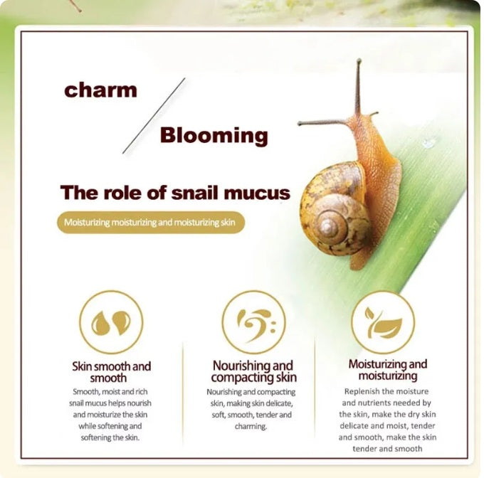 Skincare Set Snail Cream2jpg