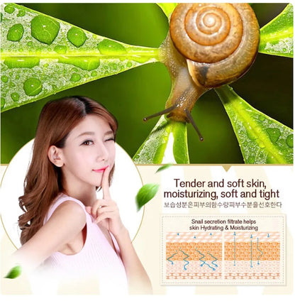 Skincare Set Snail Cream4jpg