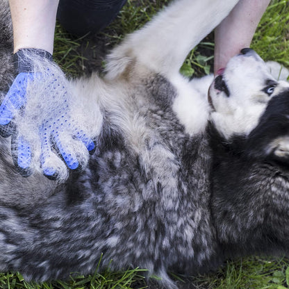 Pet Grooming Gloves for Dogs and Cats 3