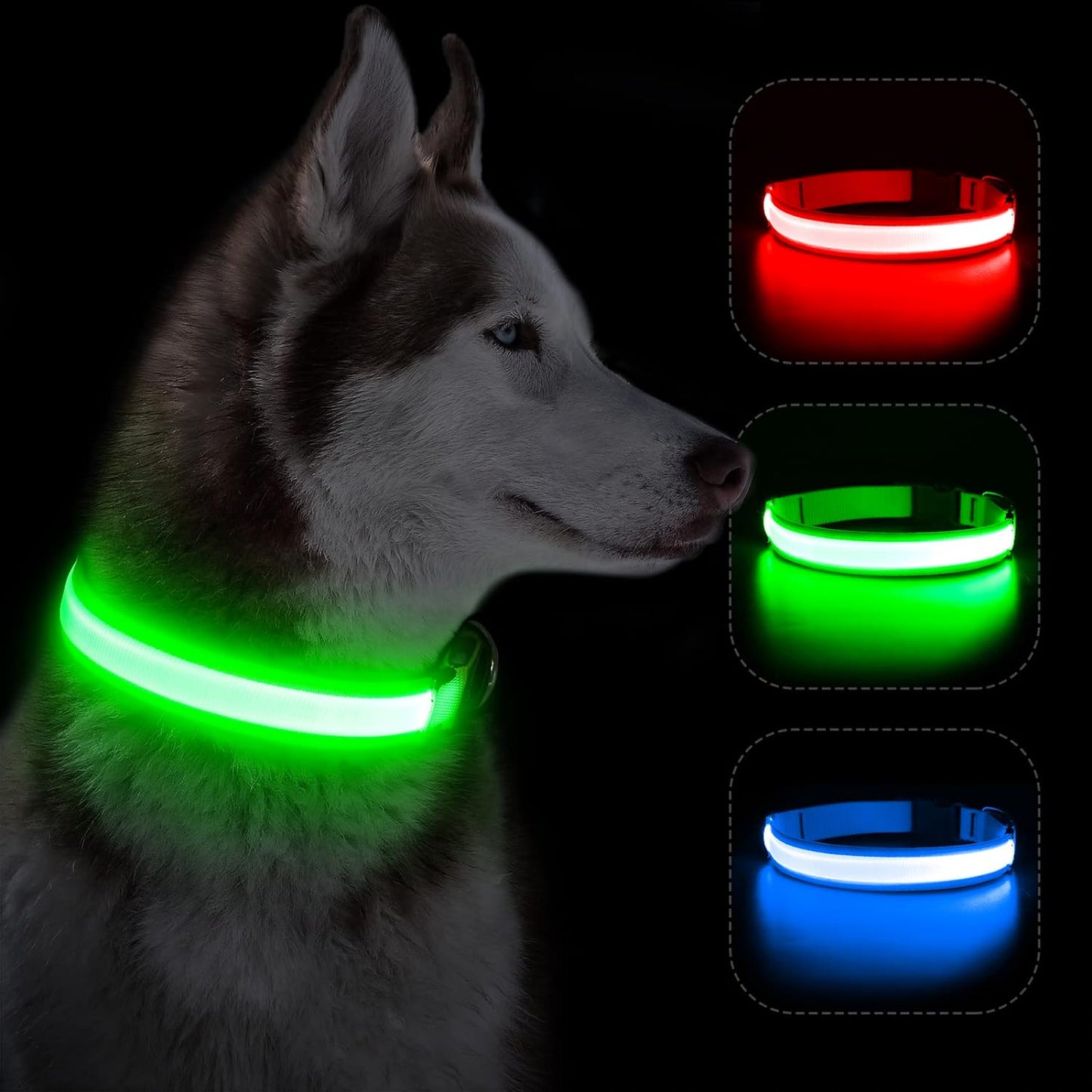Waterproof LED Dog Collar with Light 3