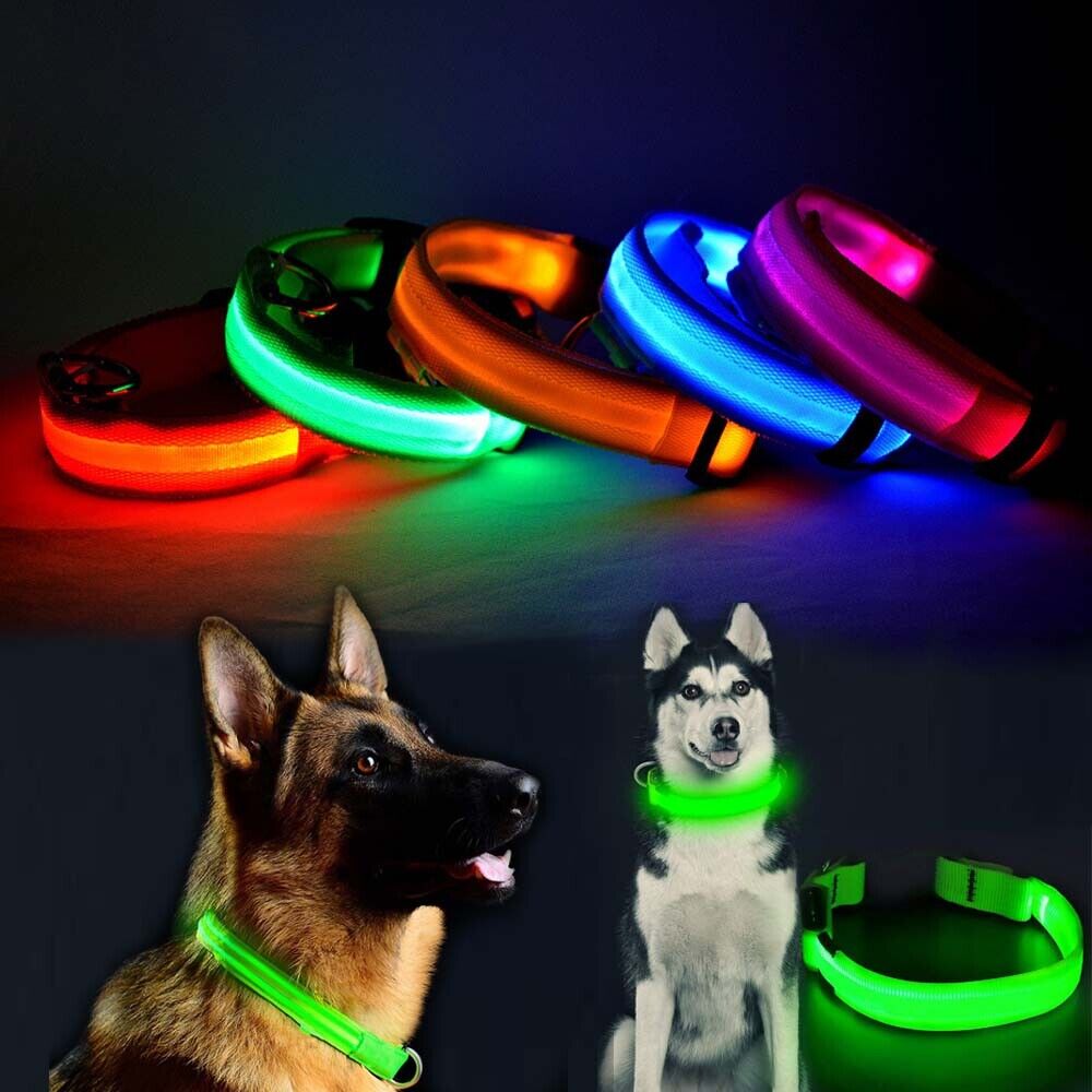 Waterproof LED Dog Collar with Light