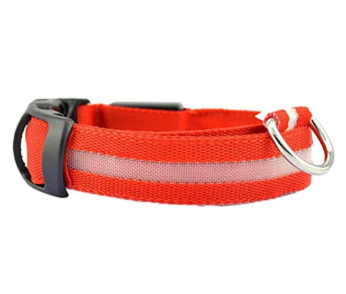 Waterproof LED Dog Collar with Light Red