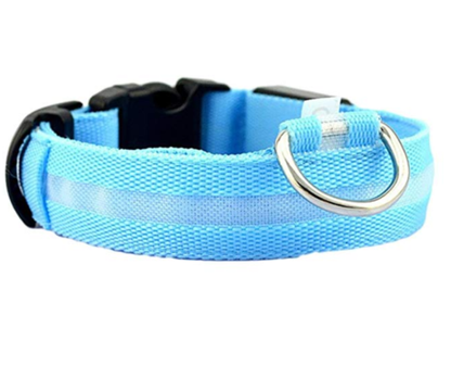 Waterproof LED Dog Collar with Light Blue