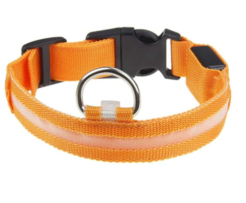 Waterproof LED Dog Collar with Light Orange