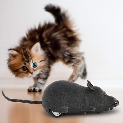 Electronic Remote Control Rat