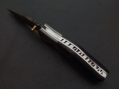 sl960 2jpg