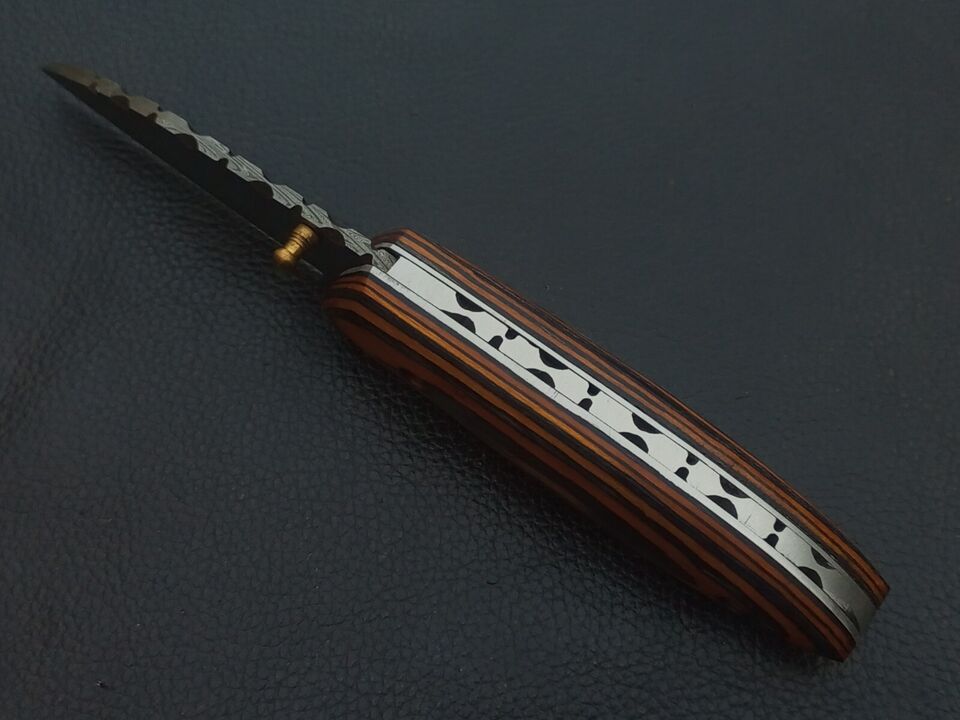 sl960 2jpg