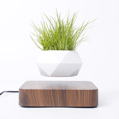 Magnetic Levitating Plant Pot For Bonsai, Real & Fake Plants Walnut base
