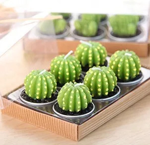 Mini Cactus Candles 2