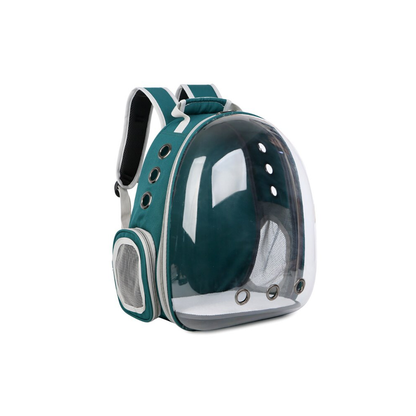 Cute Clear Cat Backpack Carrier7.png