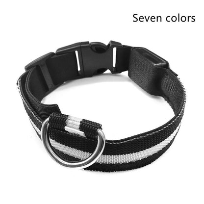 Battery Powered Luminous Dog Collar