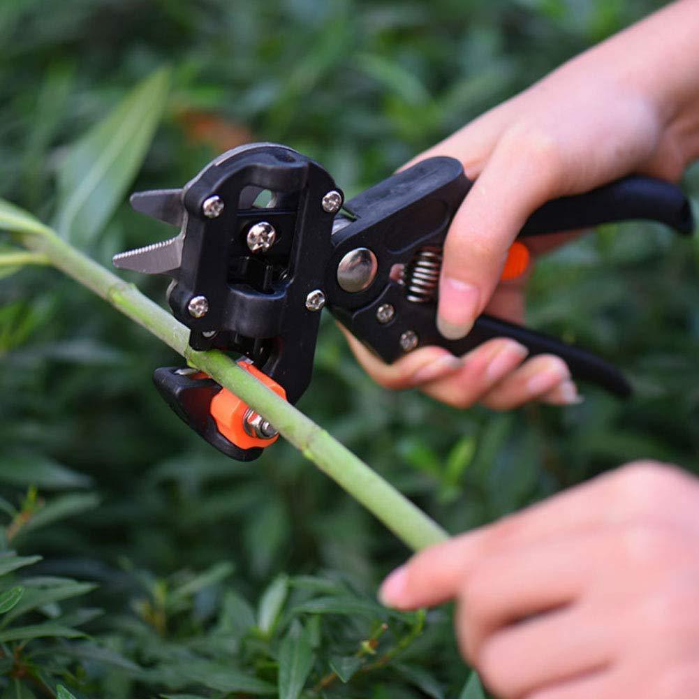 Best Professional Tree Grafting Tool Kit - Complete Plant Grafting Supplies