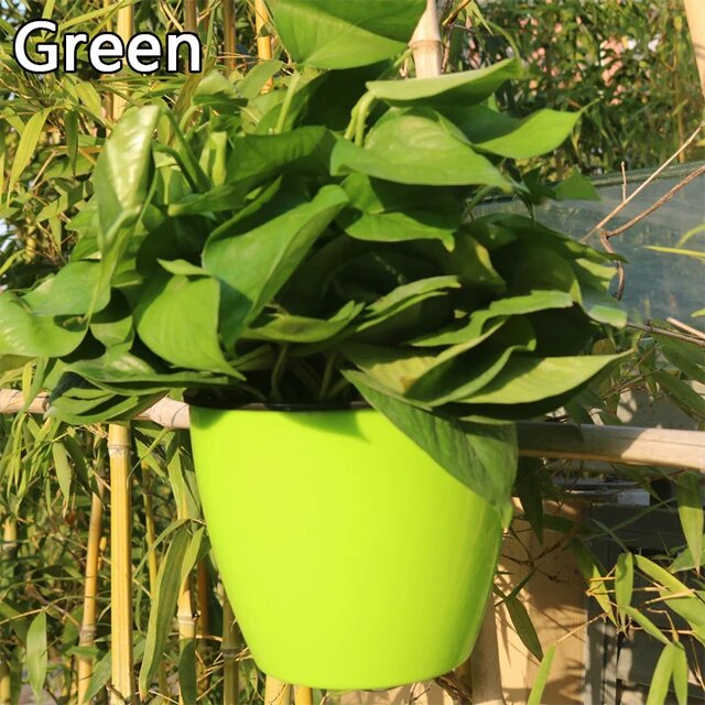 Self Watering Hanging Basket Green