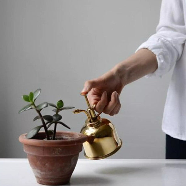 Mini Brass Plant Spray Mister (1).jpg