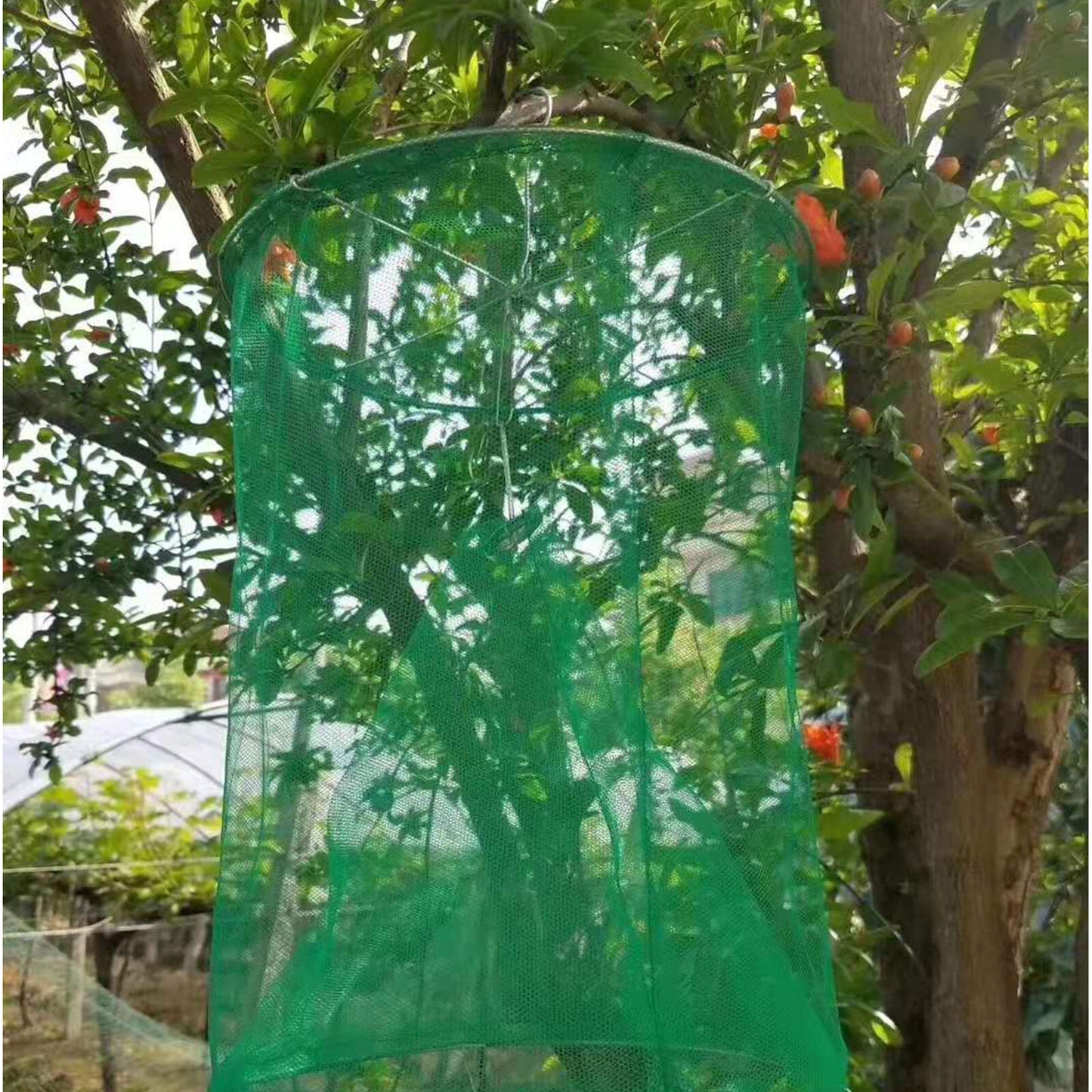 Portable Nontoxic Fly Mosquito Trap 1
