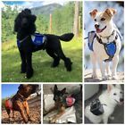 Outdoor Dog Backpack (1).jpg