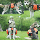 Outdoor Dog Backpack (2).jpg