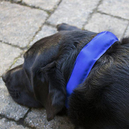 Icy Collar (7).jpg