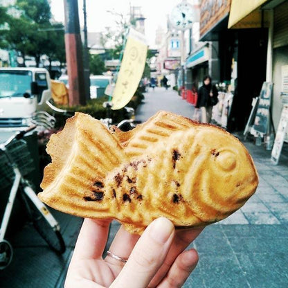 Japanese Pancake Maker 4