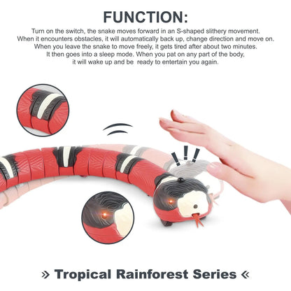 0qnGSmart-Sensing-Cat-Toys-Interactive-Automatic-Eletronic-Snake-Cat-Teaser-Indoor-Play-Kitten-Toy-USB-Rechargeable.jpg