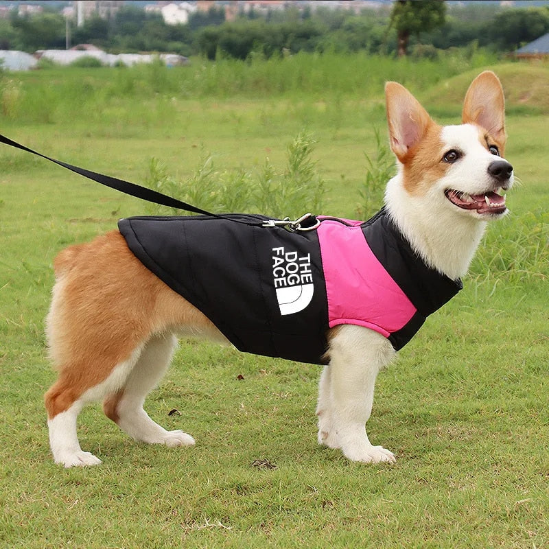 Av8nWaterproofWarmDogClothesPetCoatWinterVestPaddedZipperJacketDogClothingforSmallMed