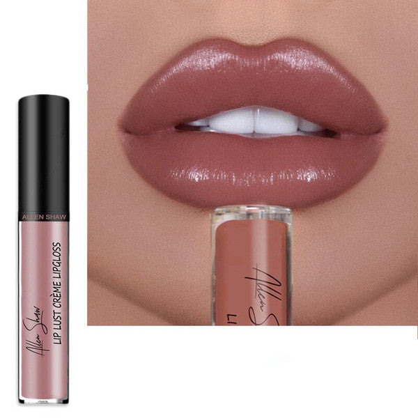 Trendy creamy moisturizing lipsticks for beauty gifts