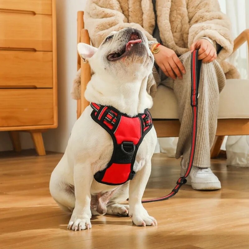 mcOMPet-Dog-Harness-Reflective-Adjustable-Breathable-Dog-Vest-Harness-for-Small-Medium-Large-Dogs-Cat-Dog.jpg