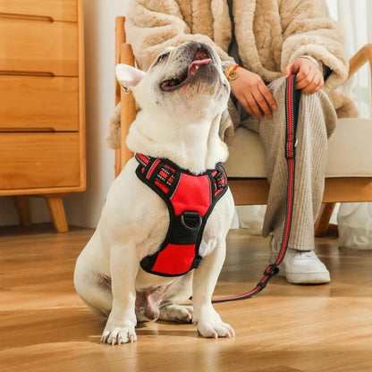 mcOMPet-Dog-Harness-Reflective-Adjustable-Breathable-Dog-Vest-Harness-for-Small-Medium-Large-Dogs-Cat-Dog.jpg