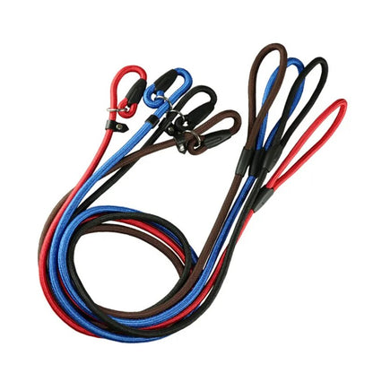Durable Nylon Pet Dog Rope Lead & Adjustable Collar - Small Dog Training Leash