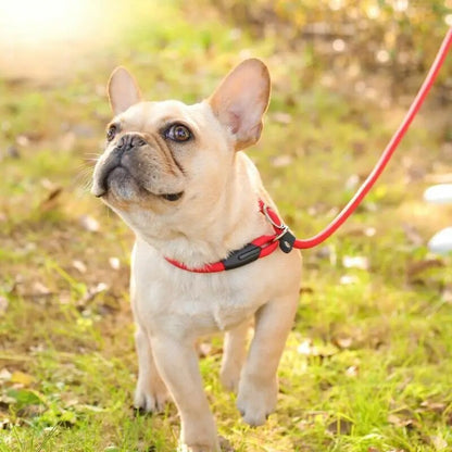 Z9gI130cm-Sturdy-Nylon-Pet-Dog-Round-Rope-Lead-Adjustable-Dog-Collar-Leash-for-Small-Dogs-Training.jpg