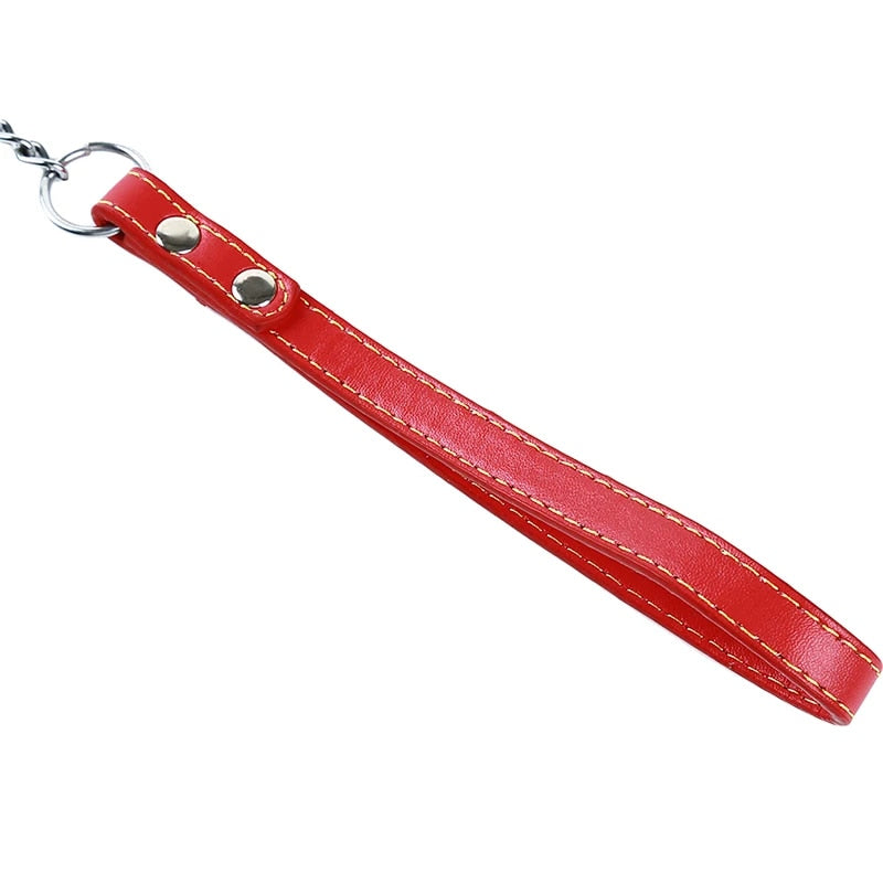 9JV8Bite-Proof-Heavy-Duty-Chain-Dog-Leash-Pet-Metal-Lead-Handle-Trigger-Hook-Pet-Training-Collar.jpg