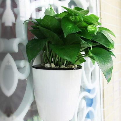 Self Watering Hanging Basket 1